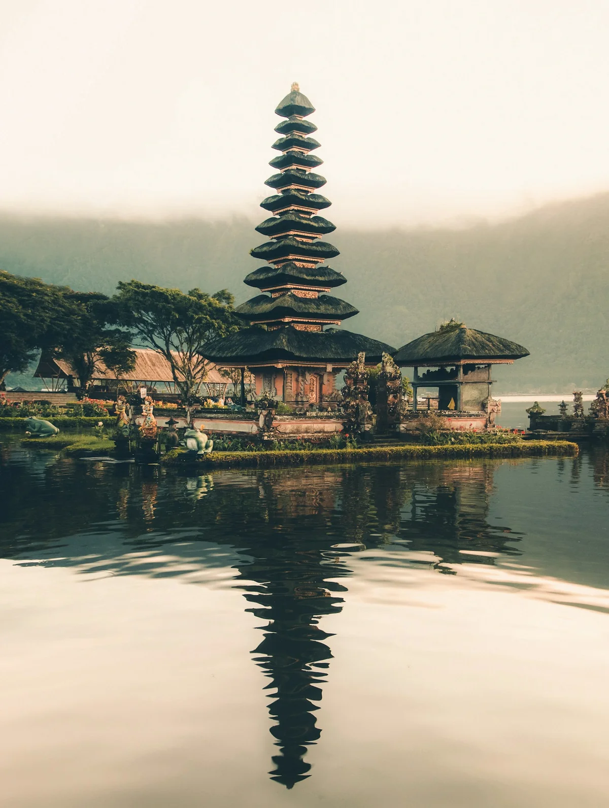 Rizières et jungle de Bali au lever du jour